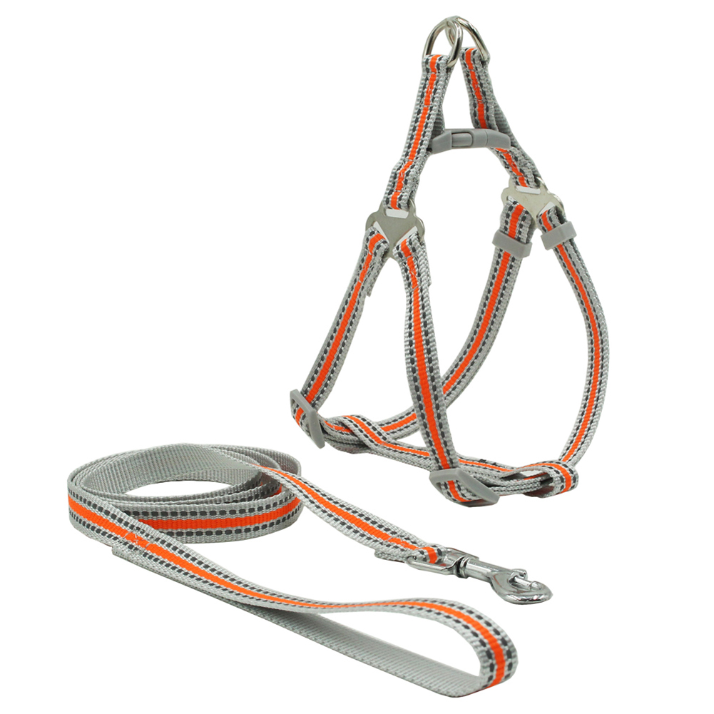 rope and go harness