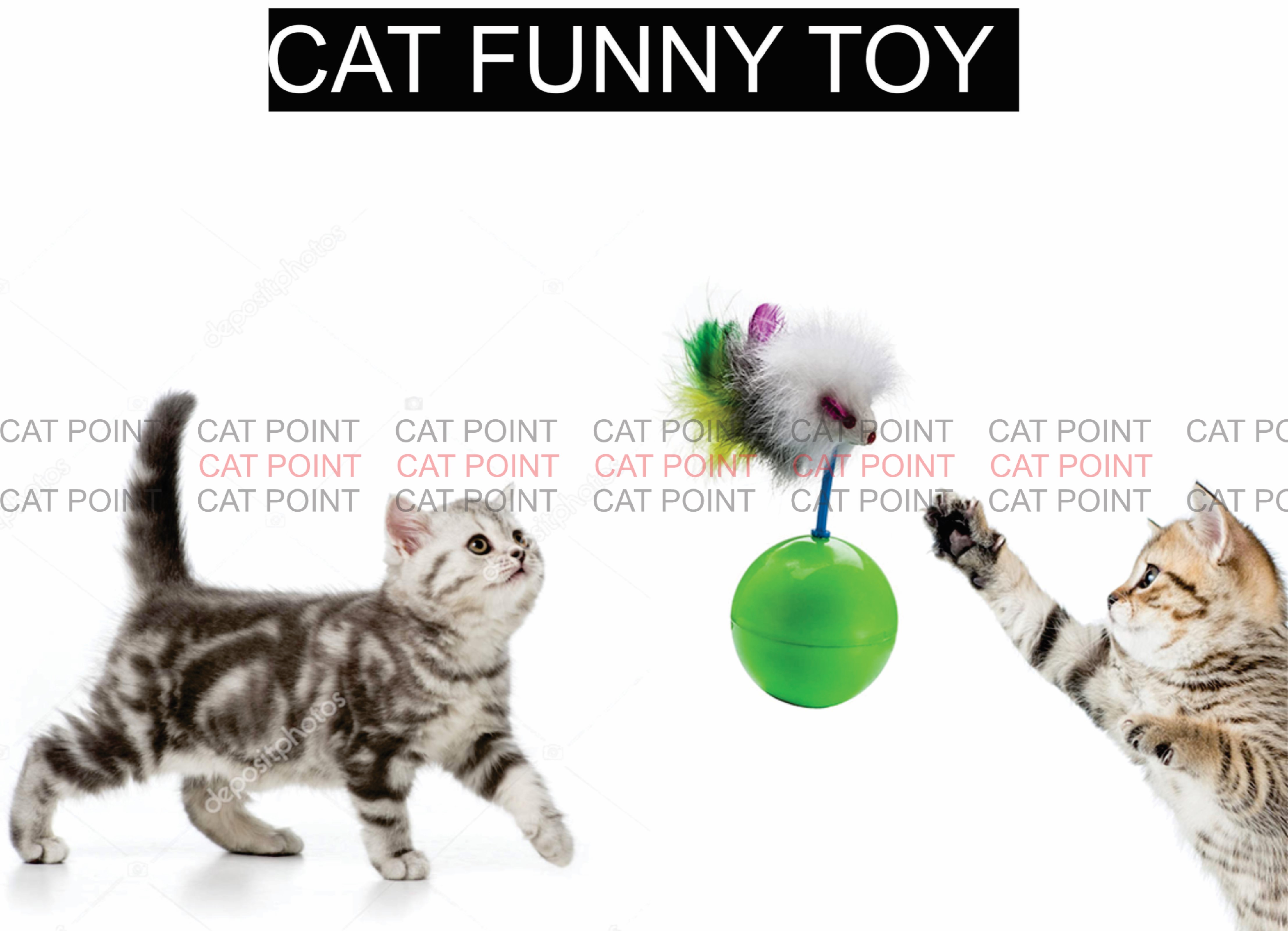 cat toys online