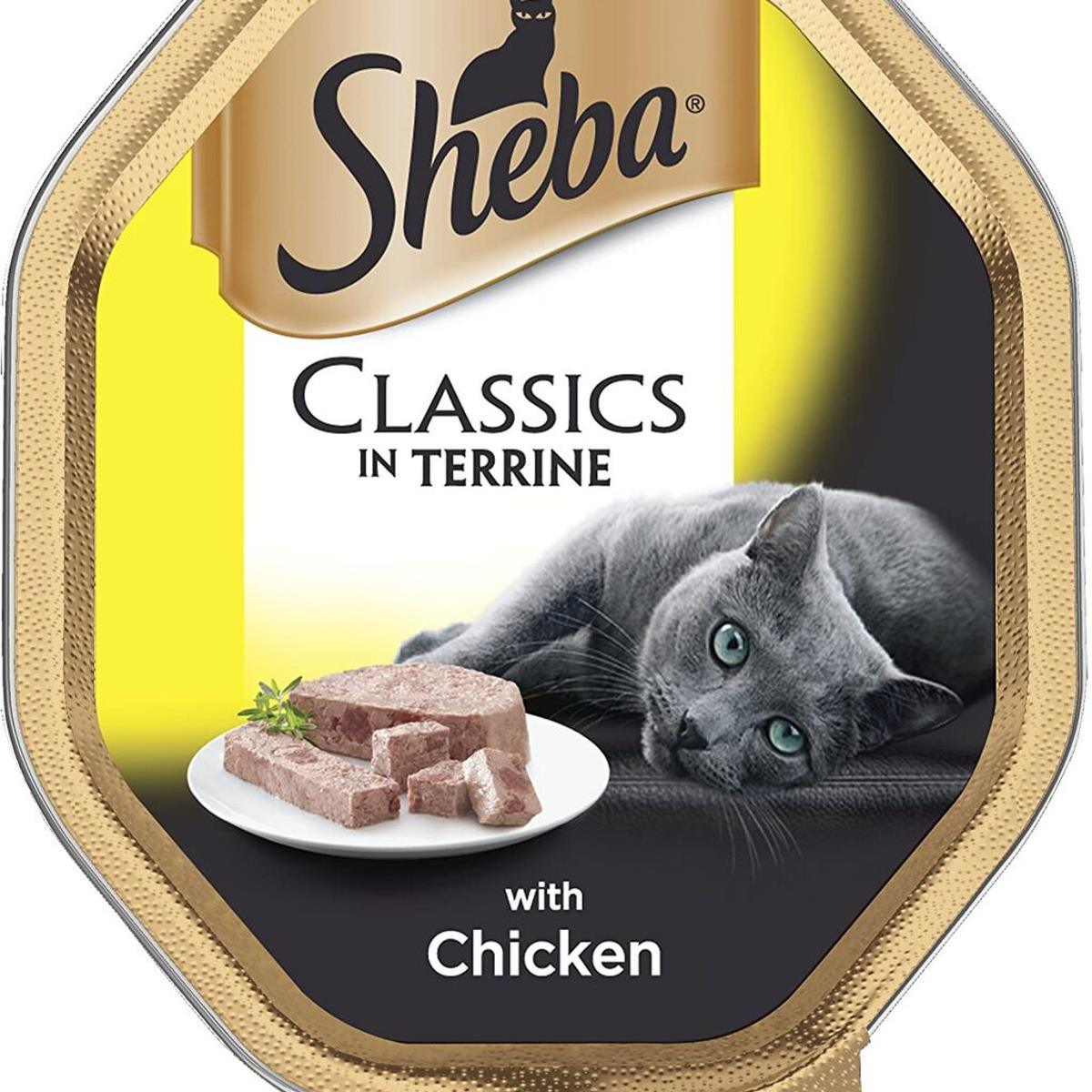 sheba cat food in jelly