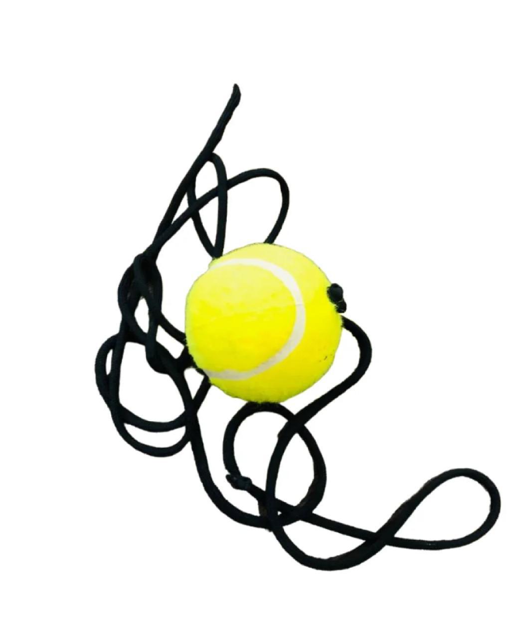 Cricket Hanging ball Cricket Hanging soft tap Ball for /Practicing Ball ...