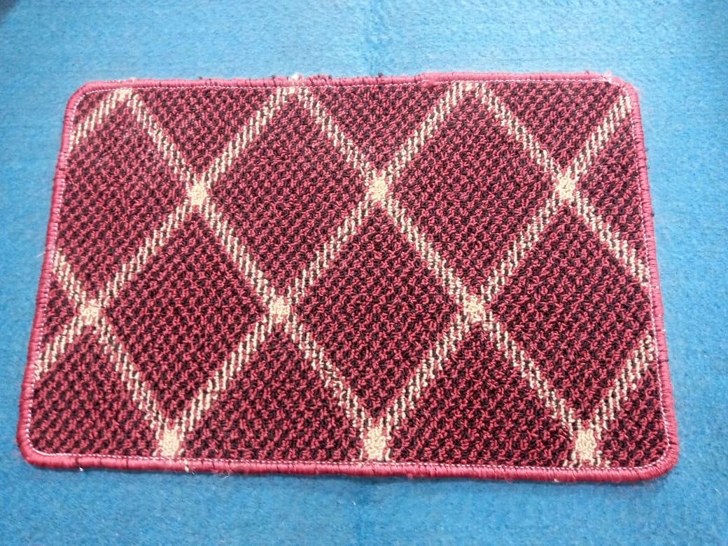 Door Mat Modern Design Thick Pile Rug Small Mat (Random Design Delivered)
