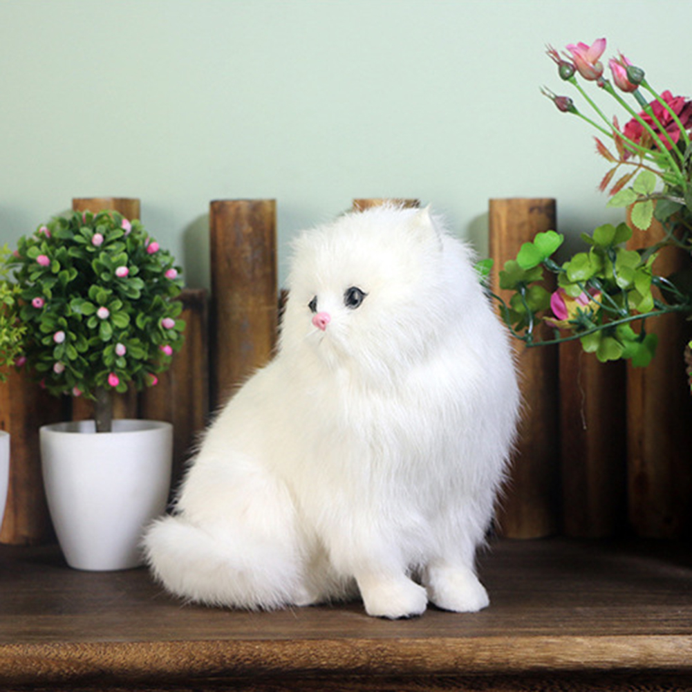 Persian cat 2024 with price