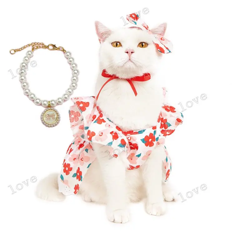 Female cat clearance outfits