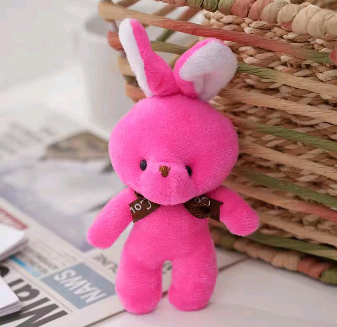 Stuffed Animal Bear Pendant Plush Teddy Bear Key-chains