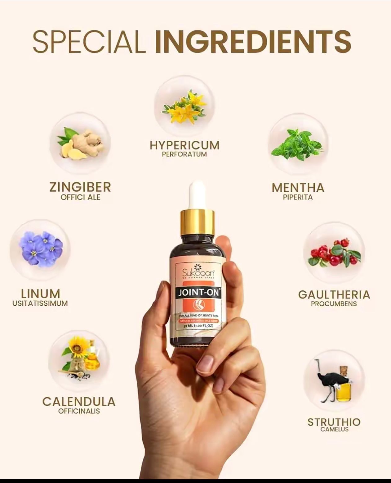 Joint On Oil Pack 50ML – Herbal Massage Oil for Joint, Knee, Back & Muscle Care | Body Massage Oil