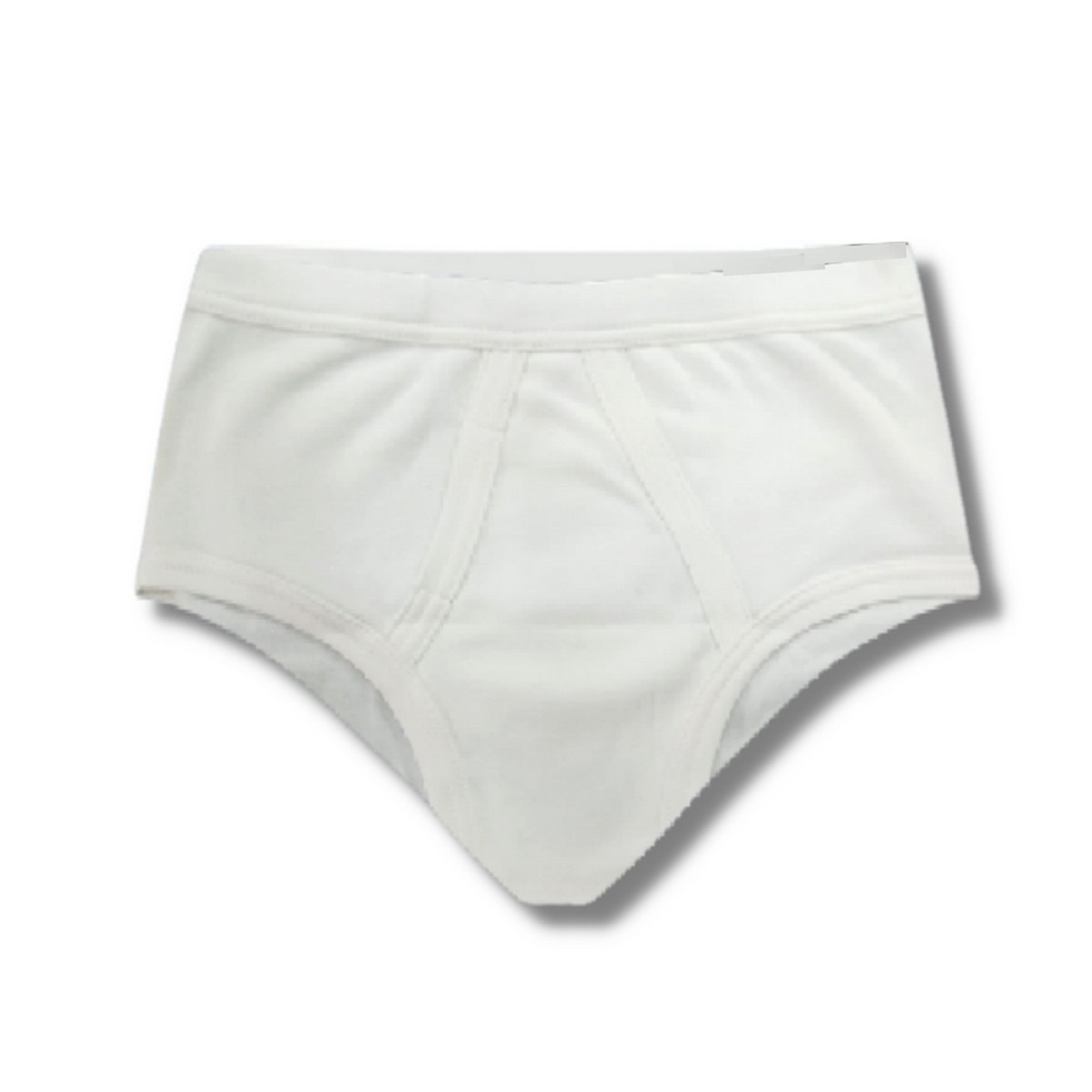 Hinz Premium Briefs Polyester Underwear for Men