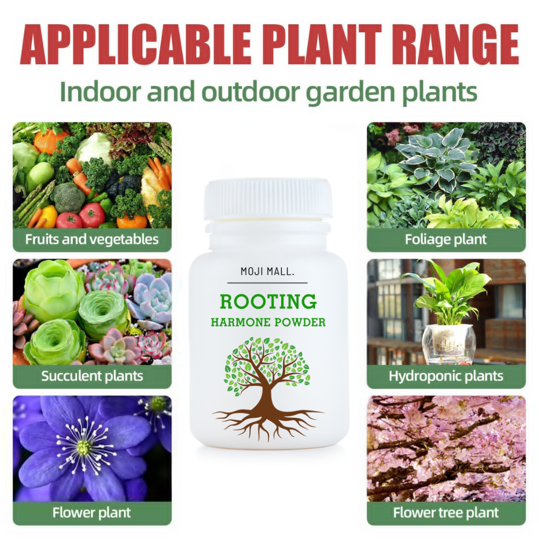 Rooting Hormone Powder for Plants - Rooting Hormone for Cuttings ...