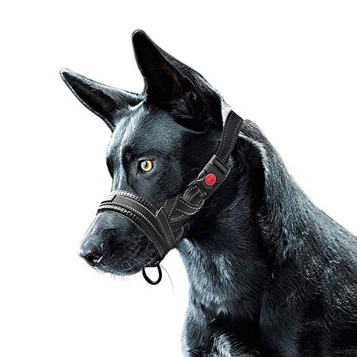 muzzle a dog to stop barking