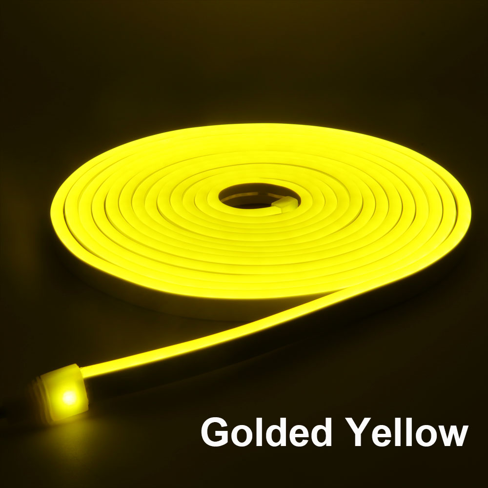 DC12V - LED Strip - RGB - Neon - LED Light - Waterproof - Flexible - Bendable - 5M - 16ft - Decorative For Room - Home Decoration - Gaming PC - Bedroom - Kitchen By GULF LED HOUSE