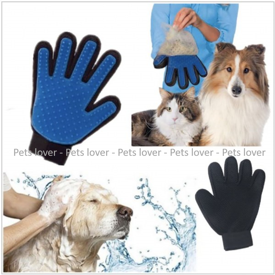 Gloves 2025 for dogs