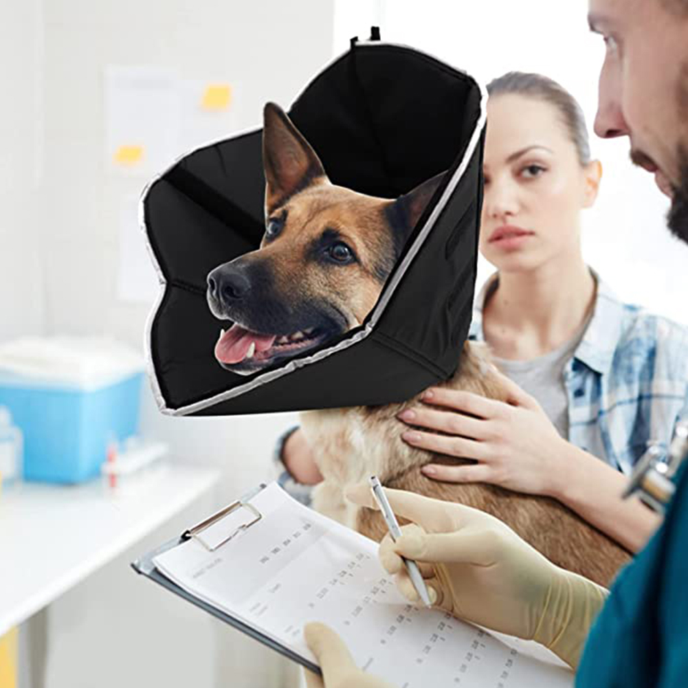 cloth dog cone collar