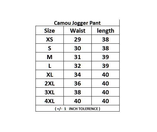 HashBack Camo Jogger Pant  for Men