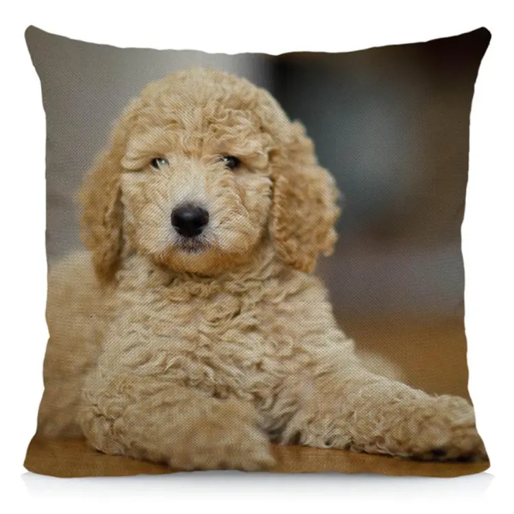 Decorative dog outlet pillows