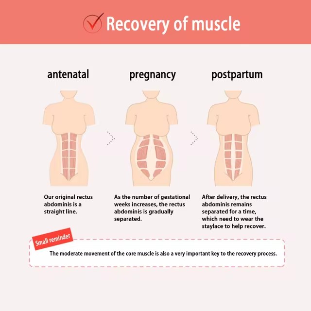 Postpartum Recovery Waist Belt for Women - Adjustable Skeleton Body Shaper Post Pregnancy Belly Maternity Support