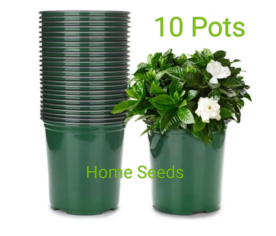 When/Why Did Plant Pots Get So Damn Expensive ???? I Just Want A Nice, Cohesive Set Of Pots For