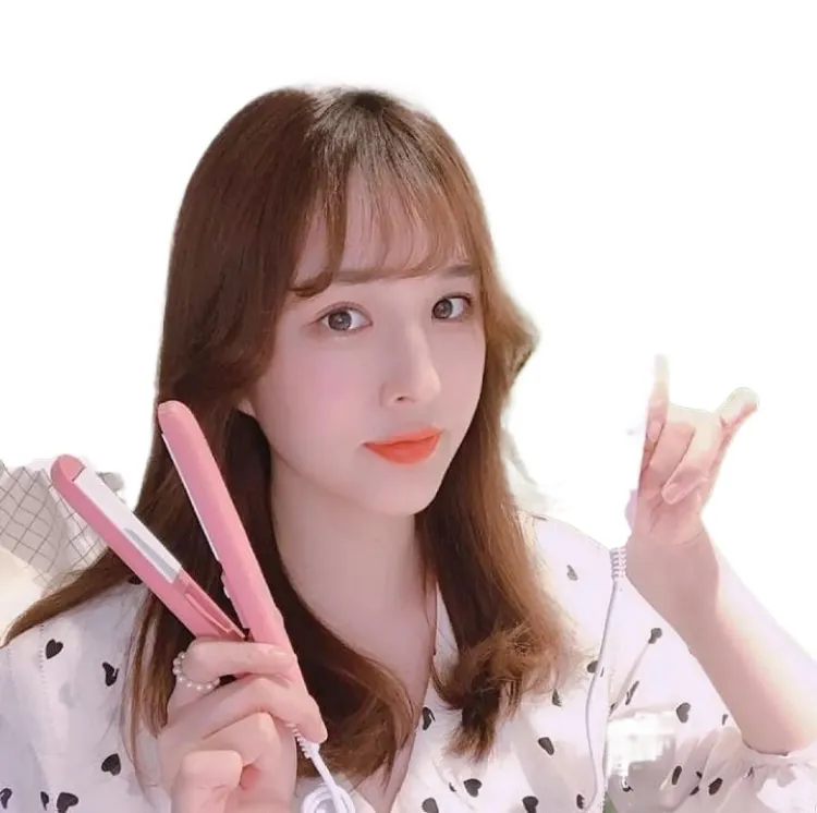 Korean mini 2024 hair straightener