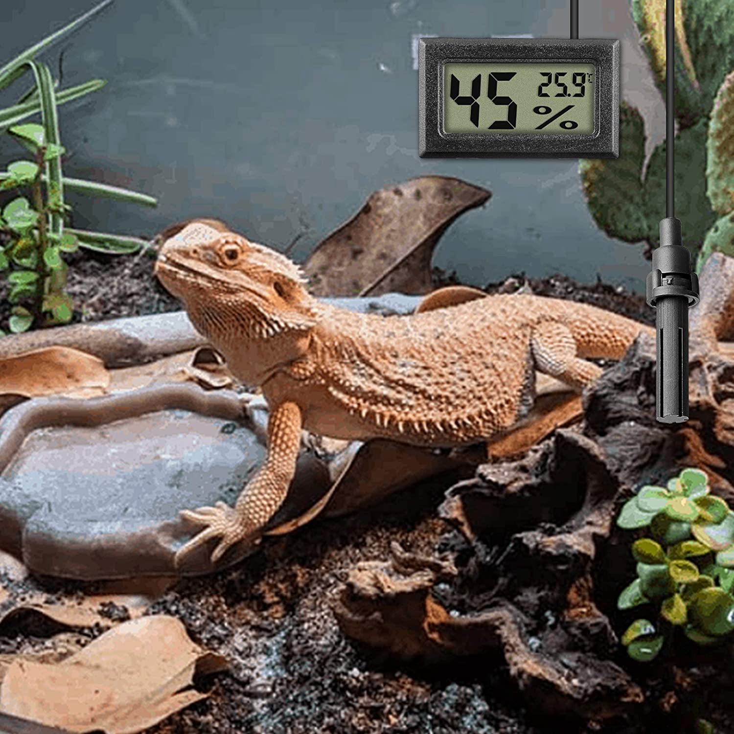 Mini LCD Digital Thermometer Hygrometer Temperature Indoor Convenient Humidity Sensor for Incubator, Reptile Plant Terrarium, Humidor, Guitar Case, Greenhouse