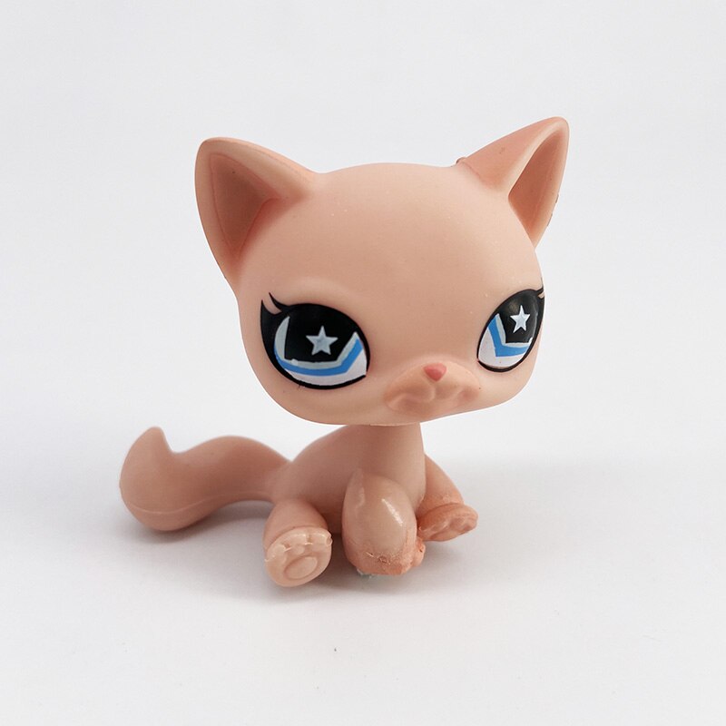new lps cat