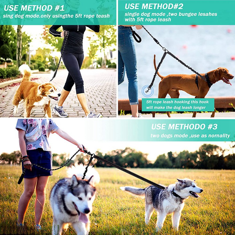 large breed dog leash