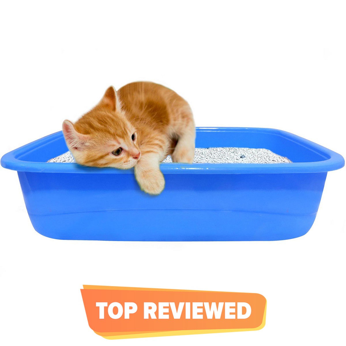 cheap cat litter boxes