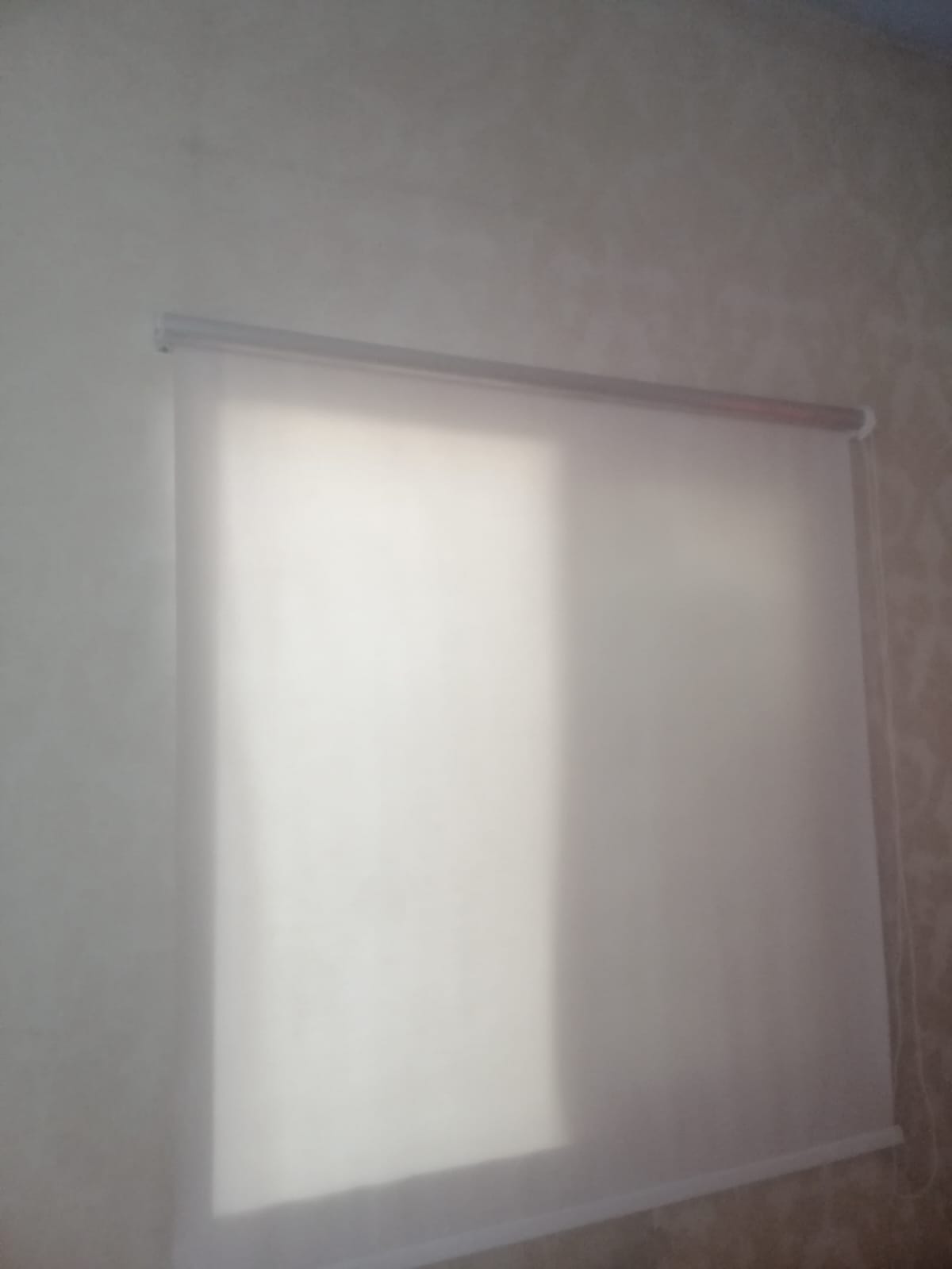 new style printed roller blinds friendly window blinds / printed roller curtain / room window blind / office printed curtain blind / blackout blind for room