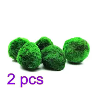 2pcs Living Green Algae Balls Moss Balls Plant Lanscaping For Fish