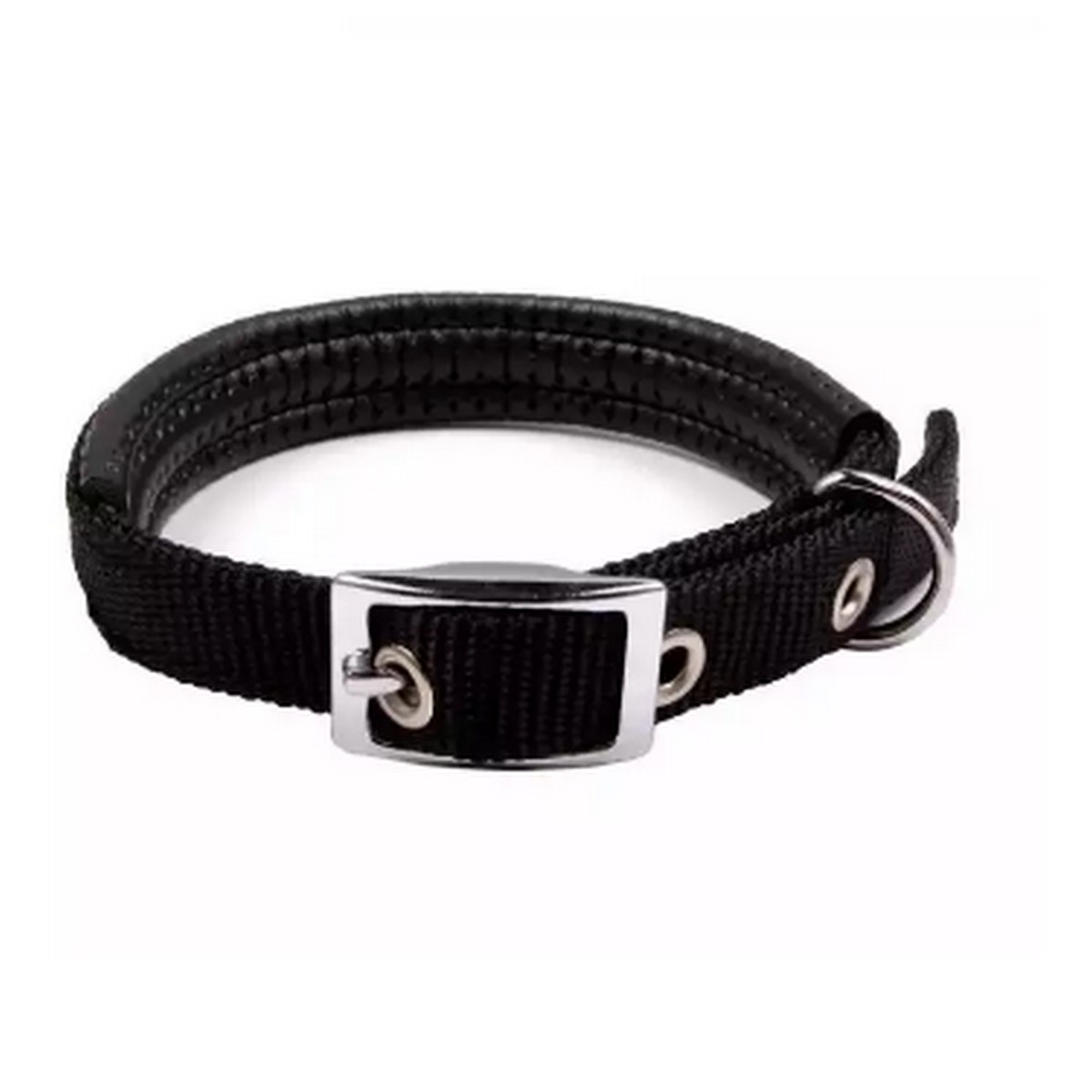 dog accessories daraz