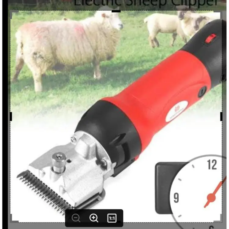 Update 161+ buffalo hair cutting machine latest camera.edu.vn