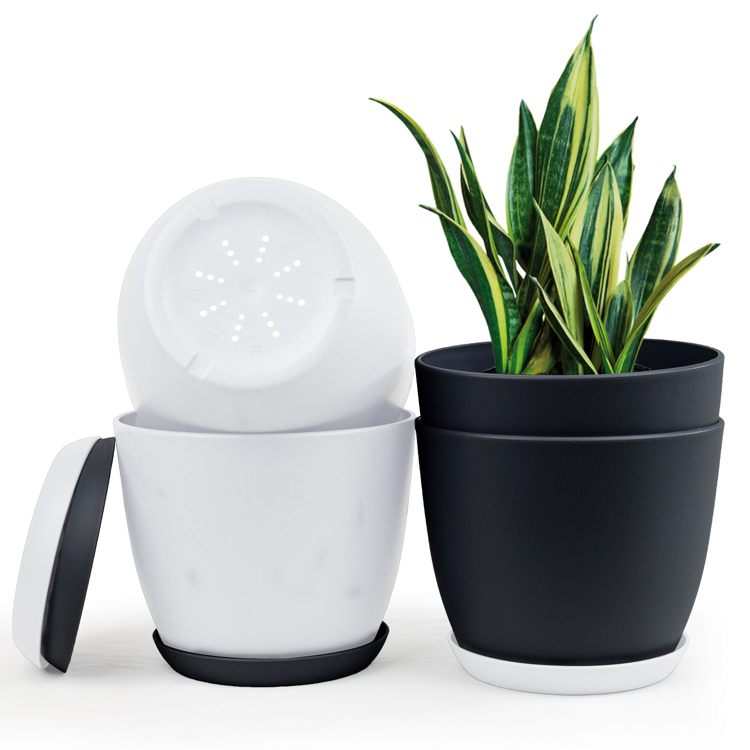 Fast Forward Extra Large Plant Pots with Drainage Two Vibrant Colors