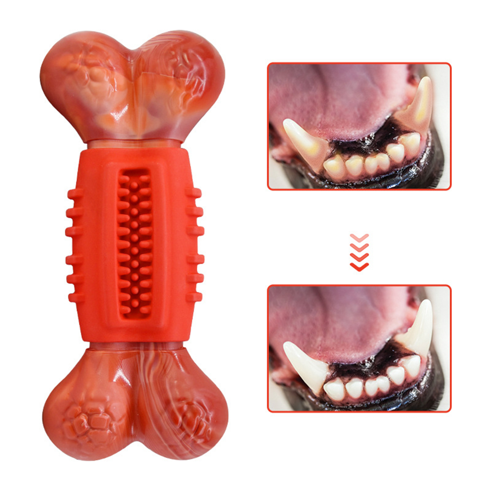 durable dog chews