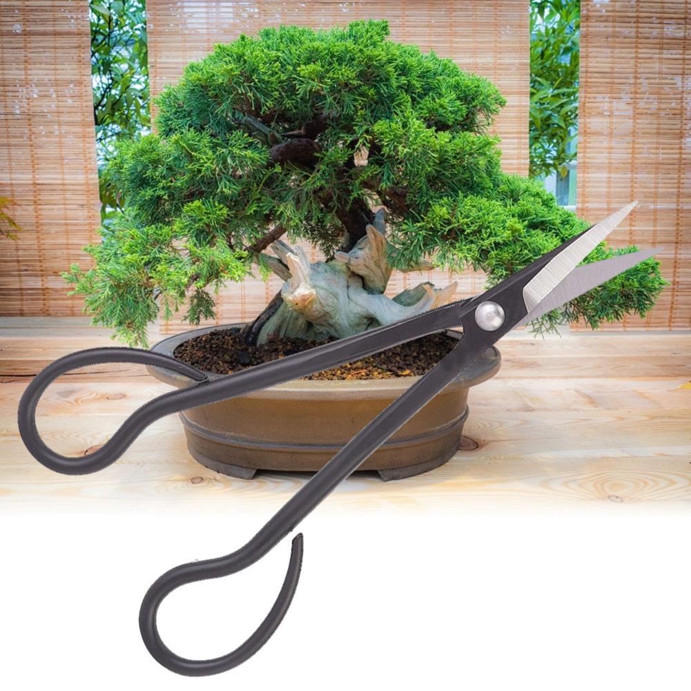 Tijeras para bonsai de acero revestido Tijeras para bonsai de mango la