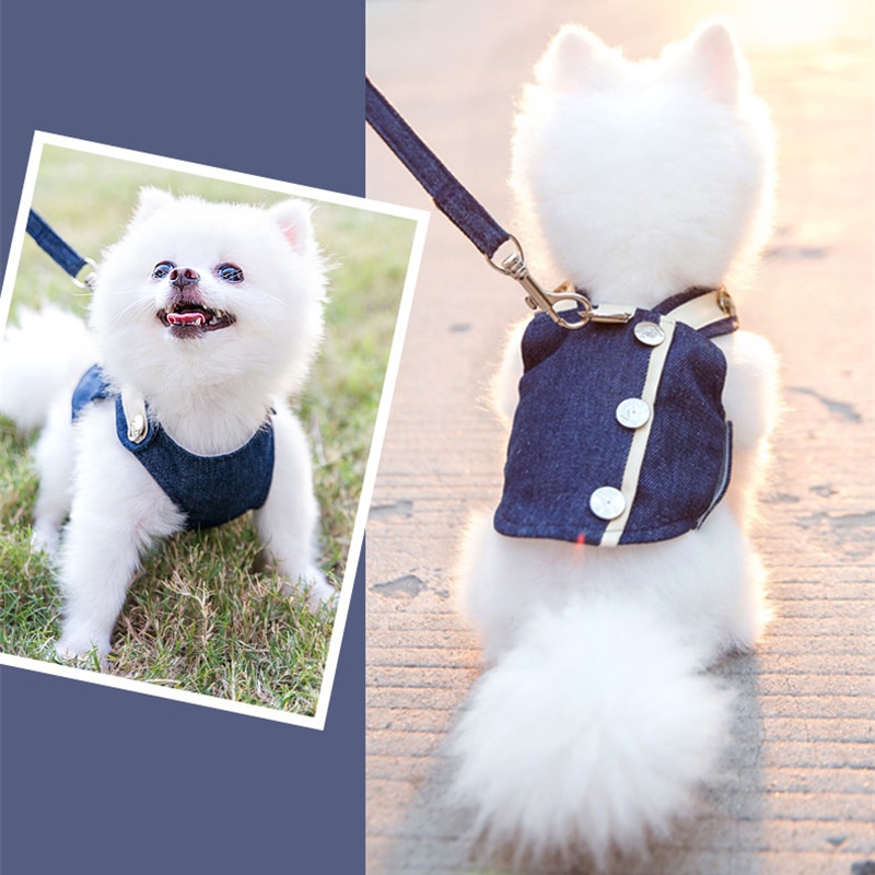 dog harness for walking small dog