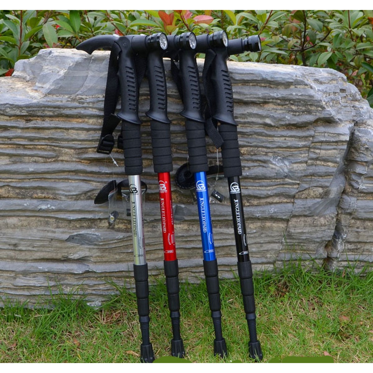 trekking pole online