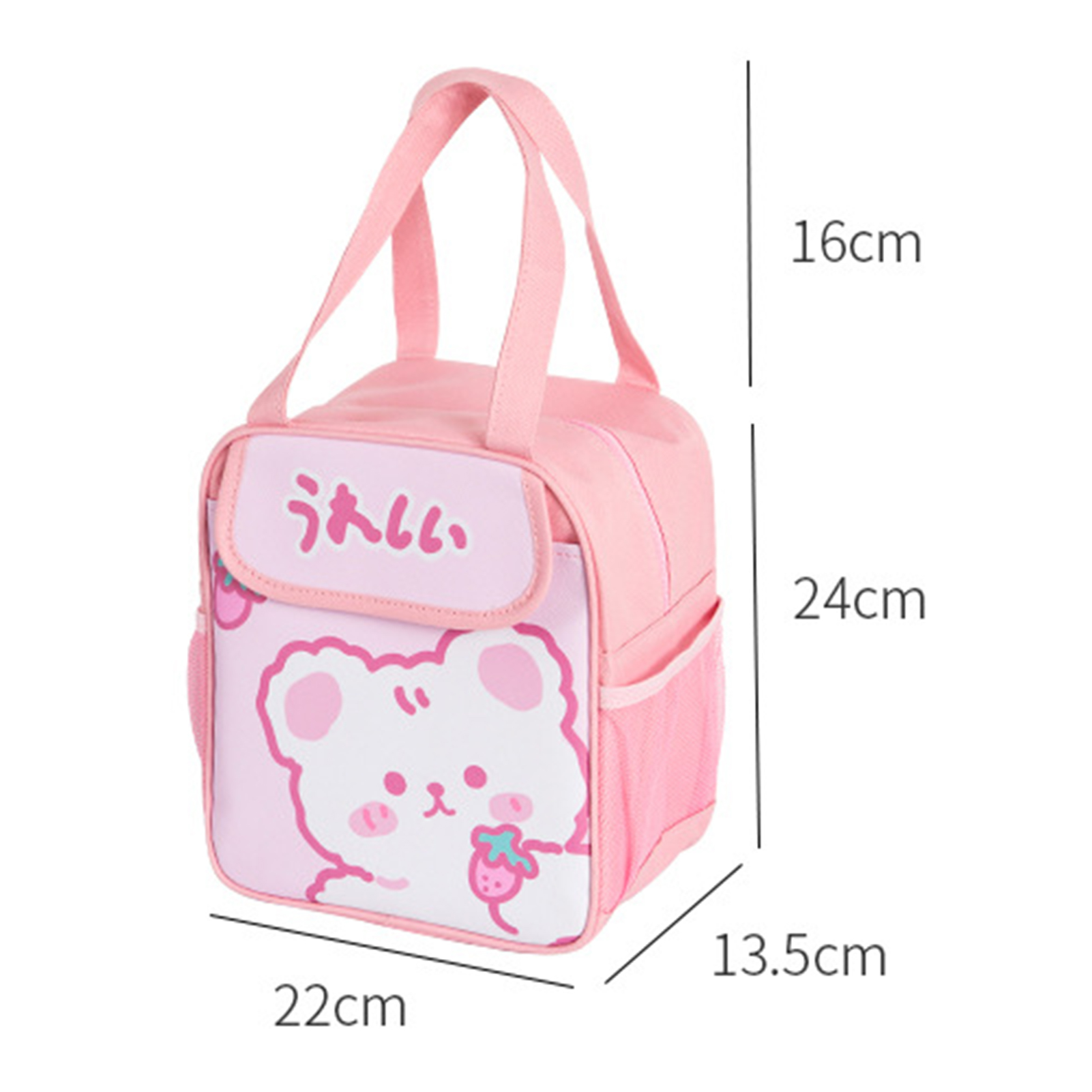 Lunch Container Leak-Proof Beach Picnic Thermal Lunch Box Bag