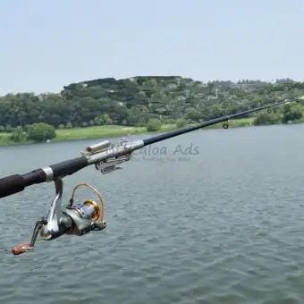 buy fishing rod online
