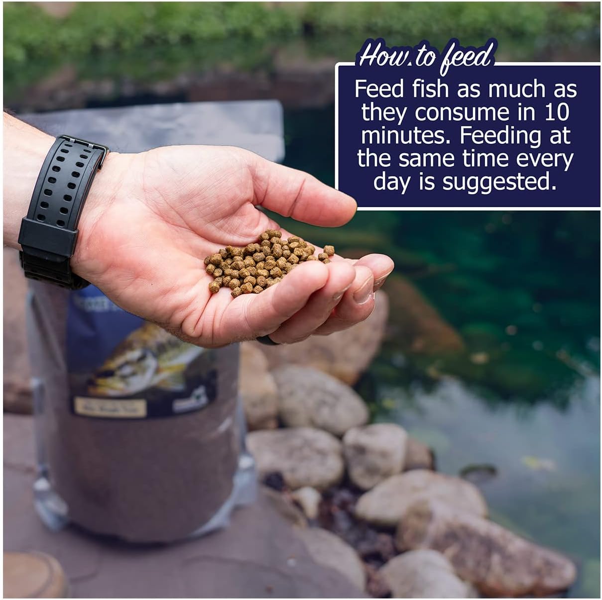 Natural Waterscapes Game Fish Food Variety | Pond and Lake Fish Food | 2 lb Bag | Feed to Bass, Bluegill, Trout, Catfish, tilapia | Floating