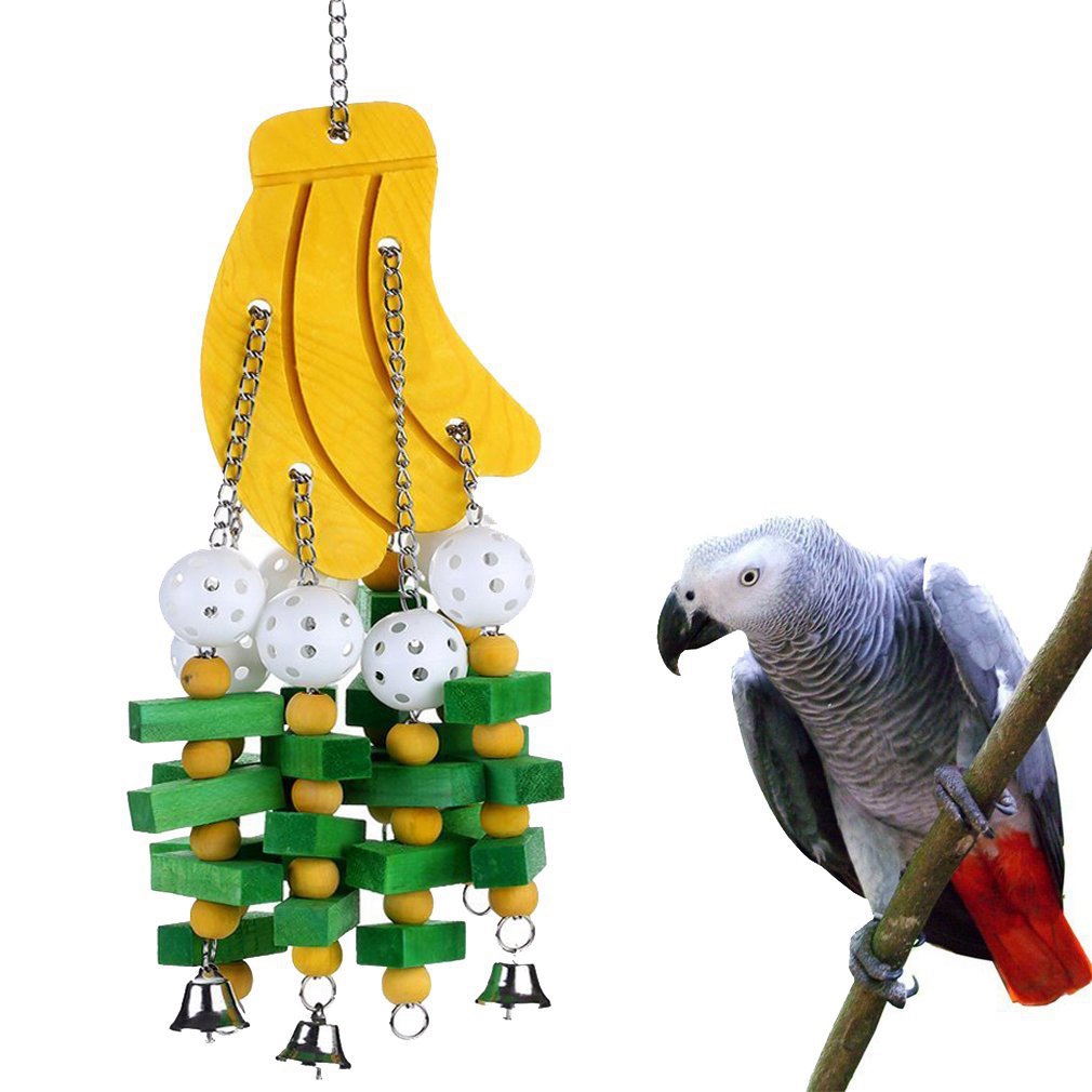 parrot supplies online