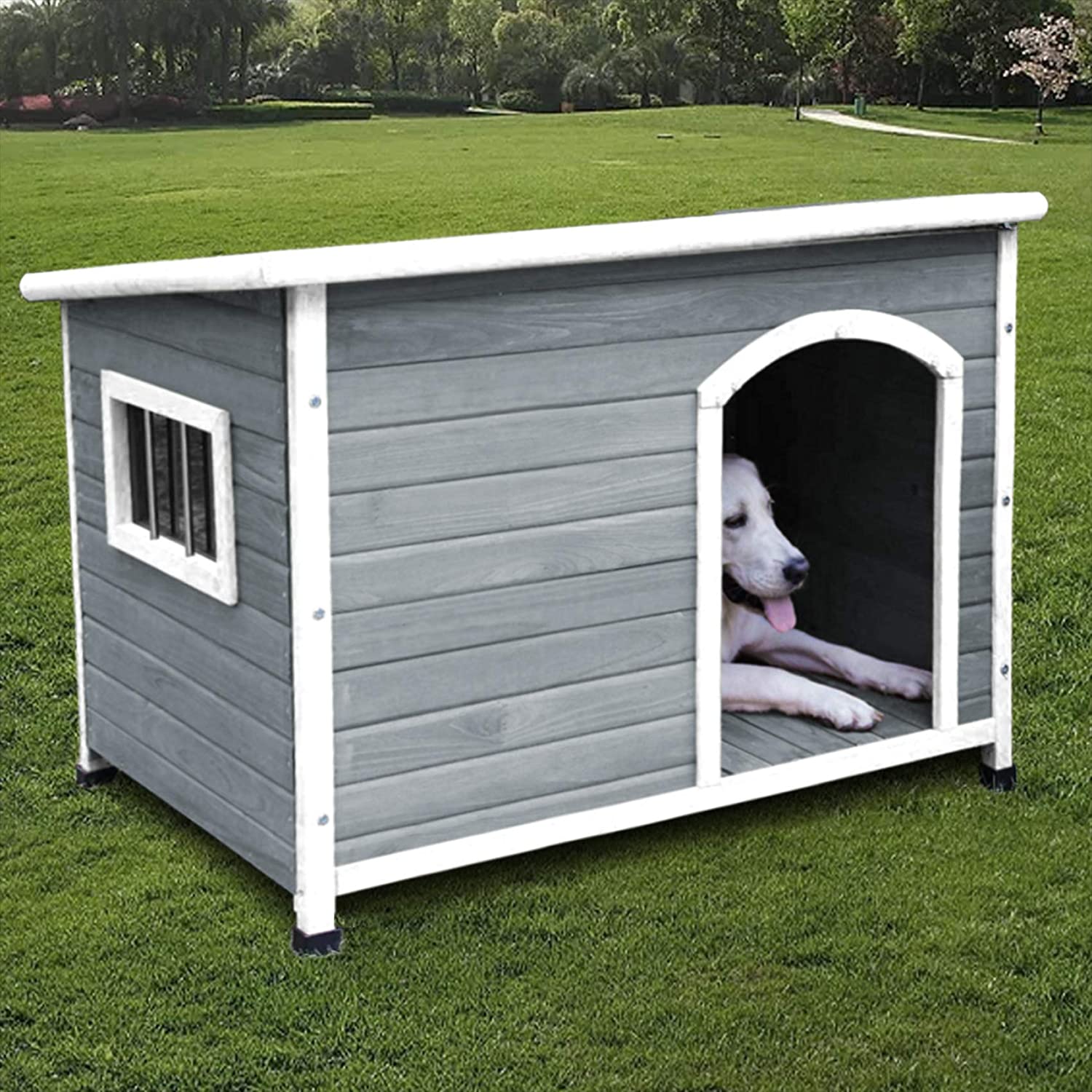 outdoor dog cages for sale