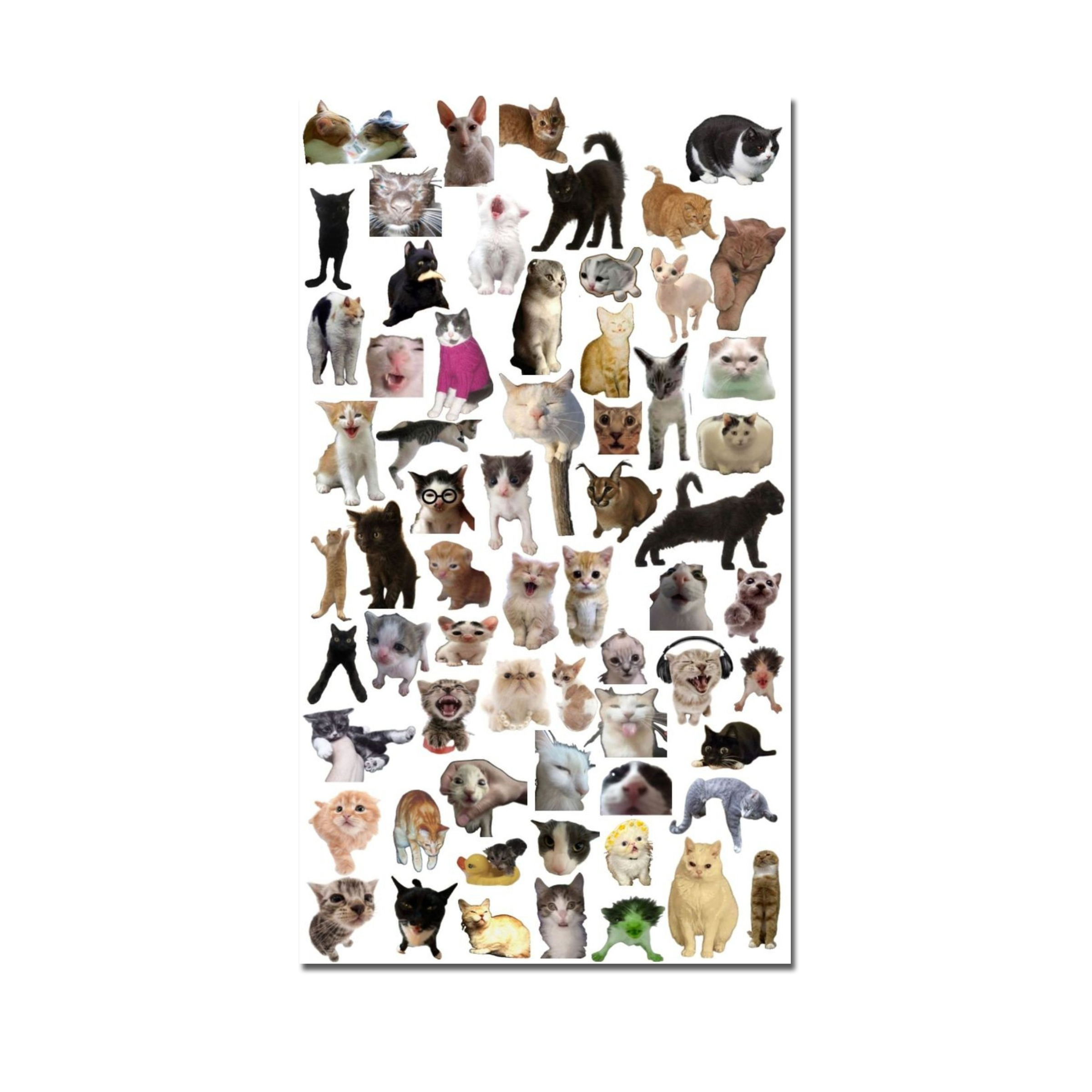 A5 size (15x21cm) Uncut printed cats meme emojis design sticker sheet, Aesthetic and Vintage Stickers for art, laptop, mobile, journals, books, dairies and more