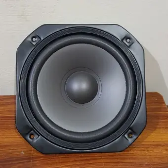 big subwoofer