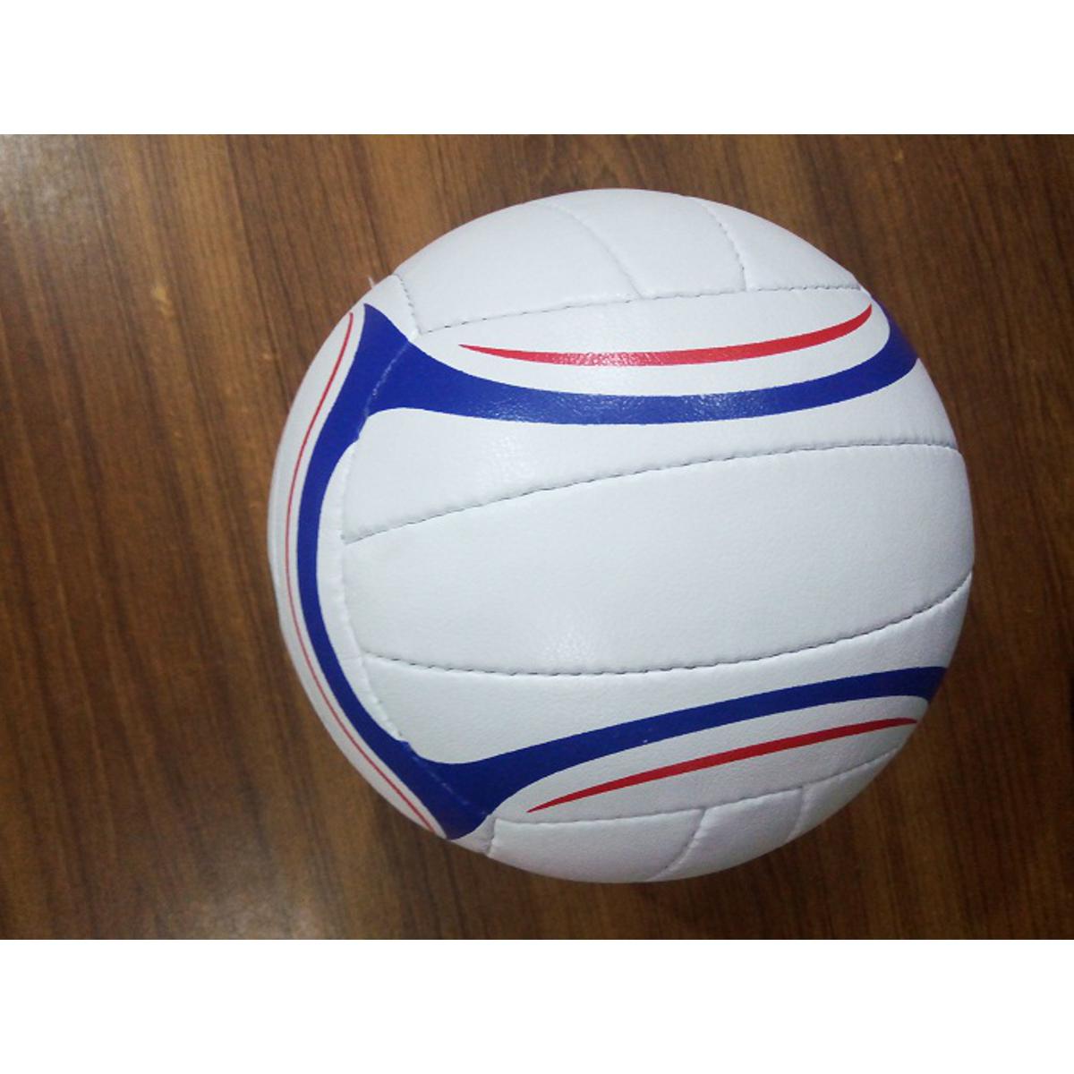 Volleyball Playing Volley ball Volleyballs Team Sports