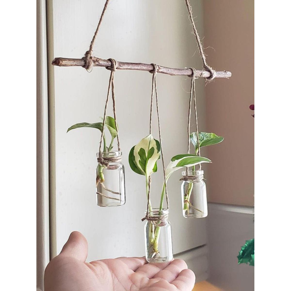 Hanging Plants Glass Vases Without Money Plants , Decor Style Hanging Plants Pots ,  Home Office  Garden Decoration