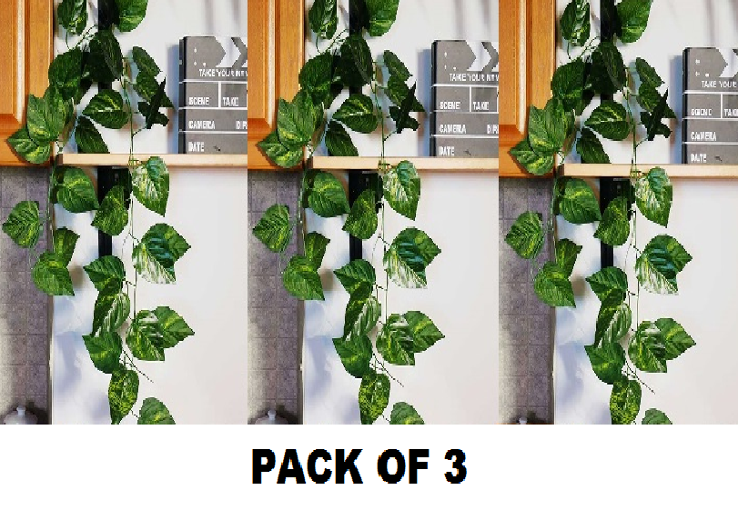 Pack of 3 Bail