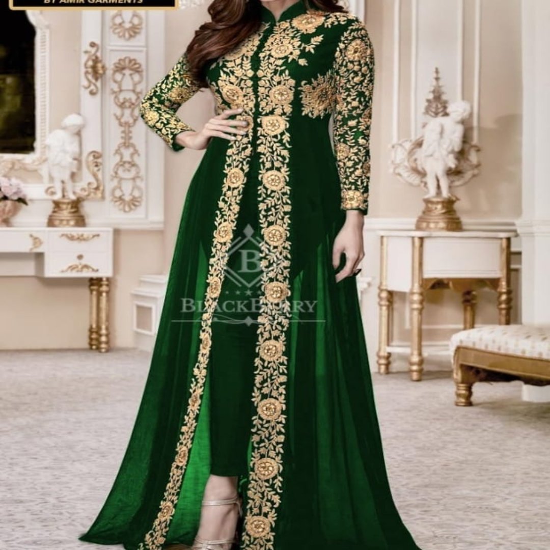 2-Piece Embroidered Fancy Net Party Wear Dress 2024 Price in Pakistan  (M015263) - 2023 Designs, Reviews & Videos