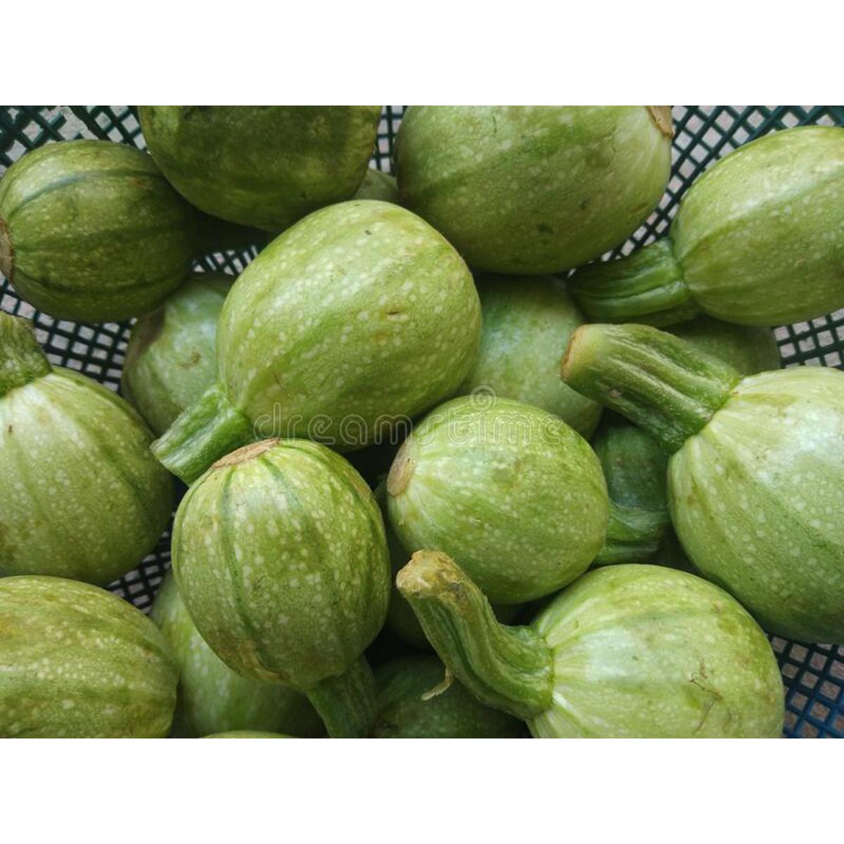 Tinda Goal (Round Squash) Desi Summer Vegetable Seeds