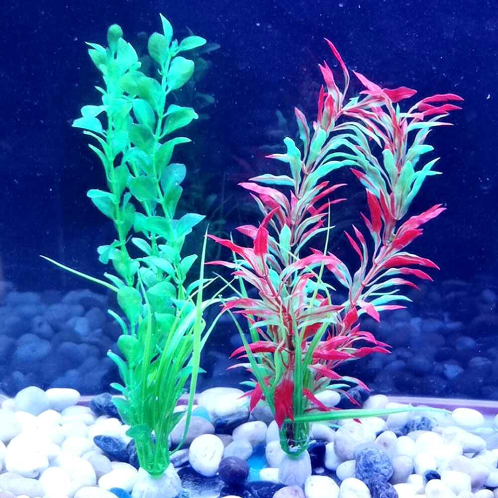 aquarium supplies