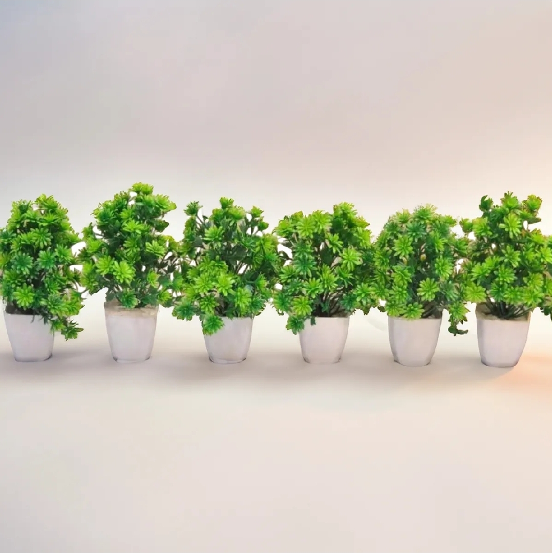 Pack of 6 artificial plants decoration pieces with mini plastic pots. Best for room, home and office decoration.