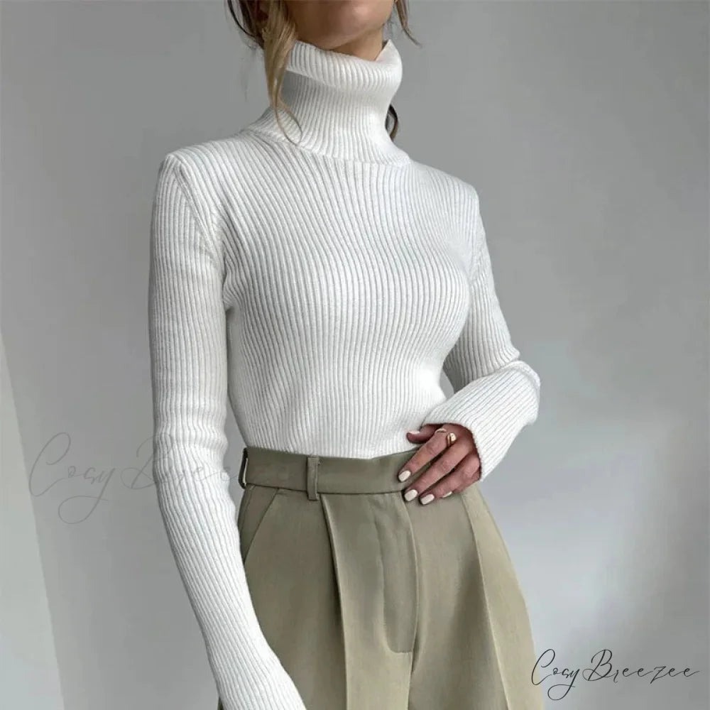 igh Neck for Women Soft Warm and Fashionable Sweater Tops for Modern Look