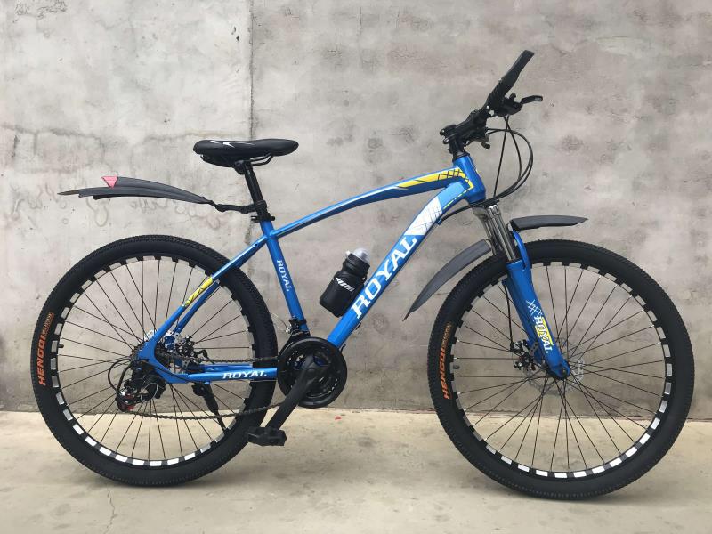 24 inch bike blue