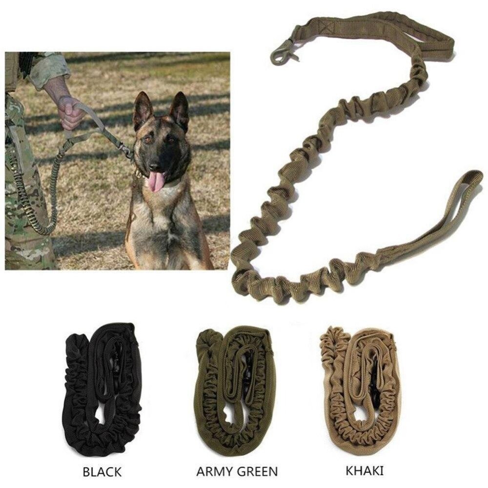 stretchable dog collars